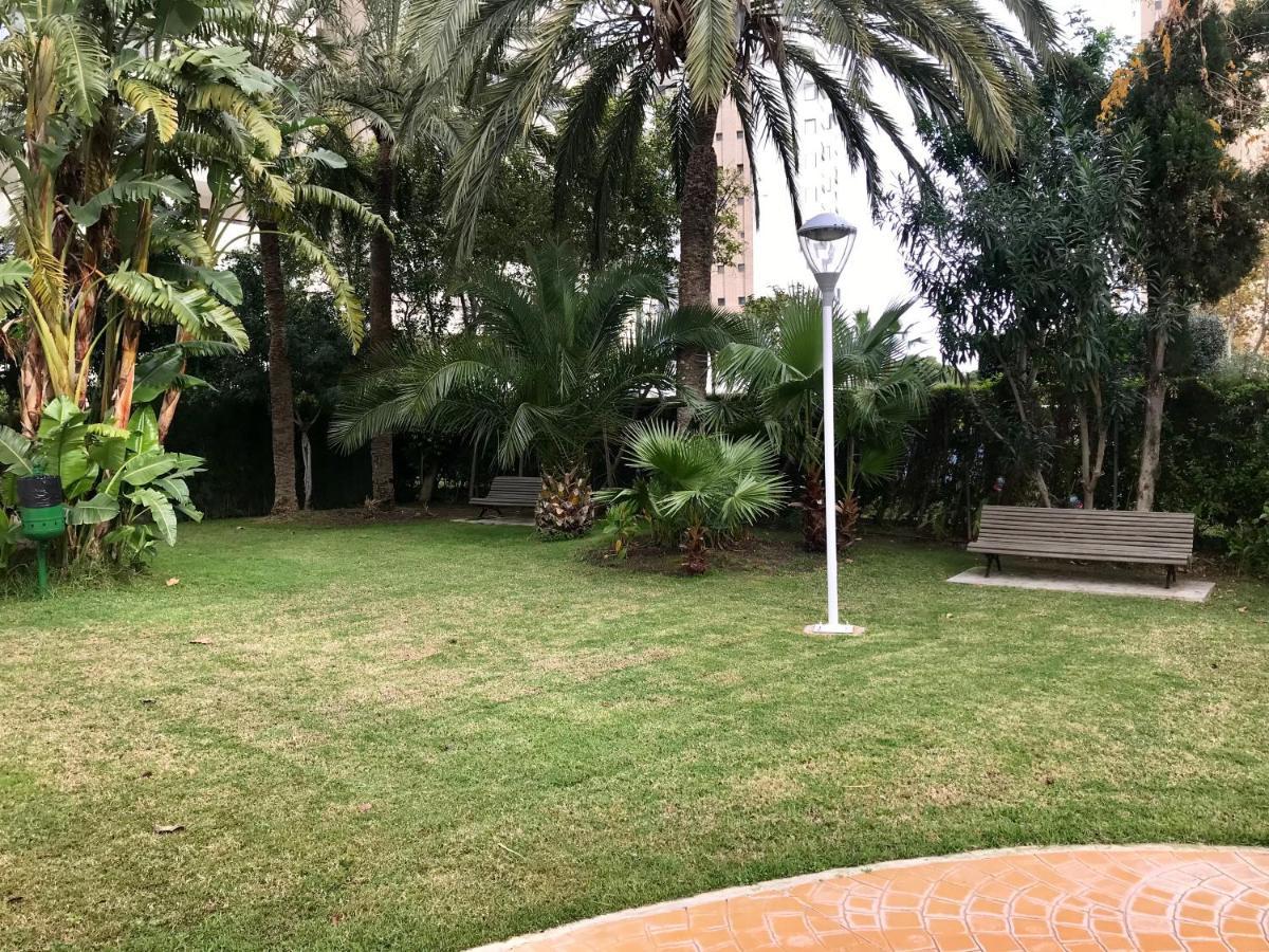 Apartamento Coffee Beach En Parque Europa Benidorm Eksteriør billede