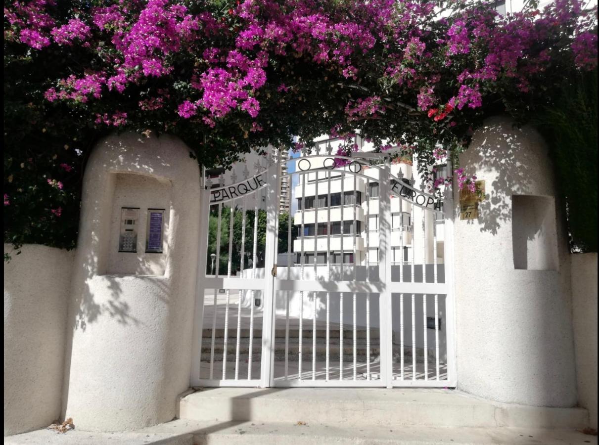 Apartamento Coffee Beach En Parque Europa Benidorm Eksteriør billede