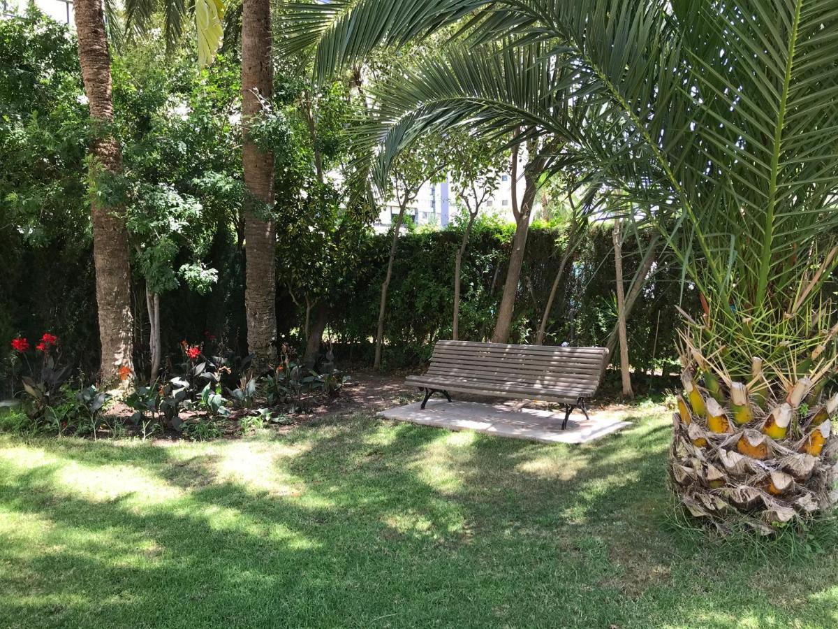 Apartamento Coffee Beach En Parque Europa Benidorm Eksteriør billede